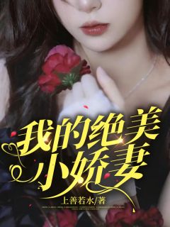小说《我的绝美小娇妻》龙禹陈薇全文免费阅读
